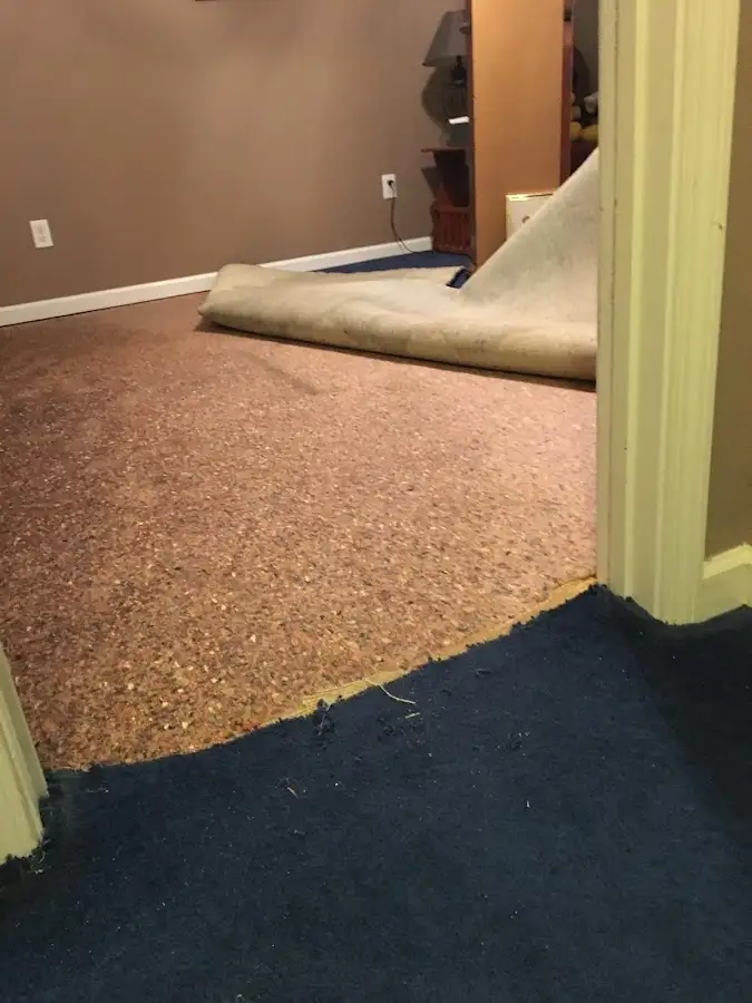 Carpet pad removal revealing water damage during Water Mitigation Services in Raleigh